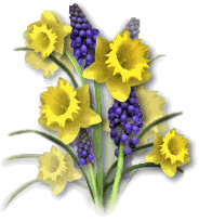 2 yellow purple flowers